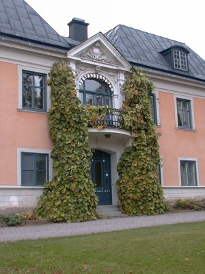 tumba hus 23.28.jpg